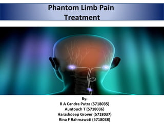 Phantom Limb Pain
Treatment
By:
R A Candra Putra (5718035)
Auntouch T (5718036)
Harashdeep Grover (5718037)
Rina F Rahmawati (5718038)
 