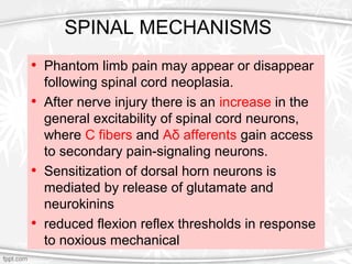 SPINAL MECHANISMS
• Phantom limb pain may appear or disappear
following spinal cord neoplasia.
• After nerve injury there ...