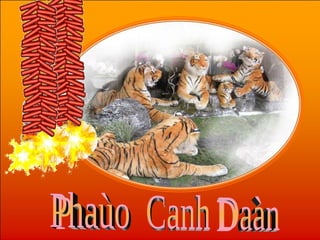 Phaùo  Canh Daàn 