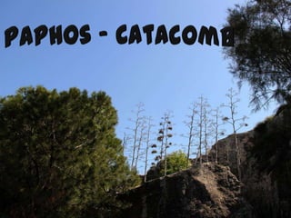 Paphos - Catacomb 