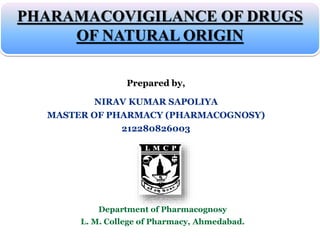 Prepared by,
NIRAV KUMAR SAPOLIYA
MASTER OF PHARMACY (PHARMACOGNOSY)
212280826003
PHARAMACOVIGILANCE OF DRUGS
OF NATURAL ORIGIN
Department of Pharmacognosy
L. M. College of Pharmacy, Ahmedabad.
 