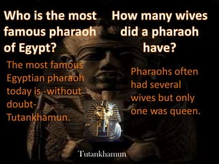 The most famous
                             Pharaohs often
Egyptian pharaoh
                             had several
today is -without
                             wives but only
doubt-
                             one was queen.
Tutankhamun.


               Tutankhamun
 