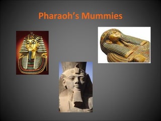 Pharaoh’s Mummies

 