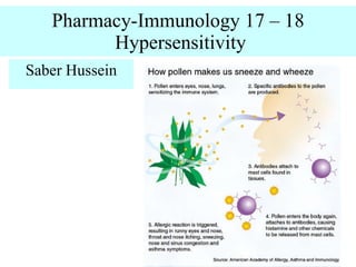 Pharmacy-Immunology 17 – 18  Hypersensitivity Saber Hussein 