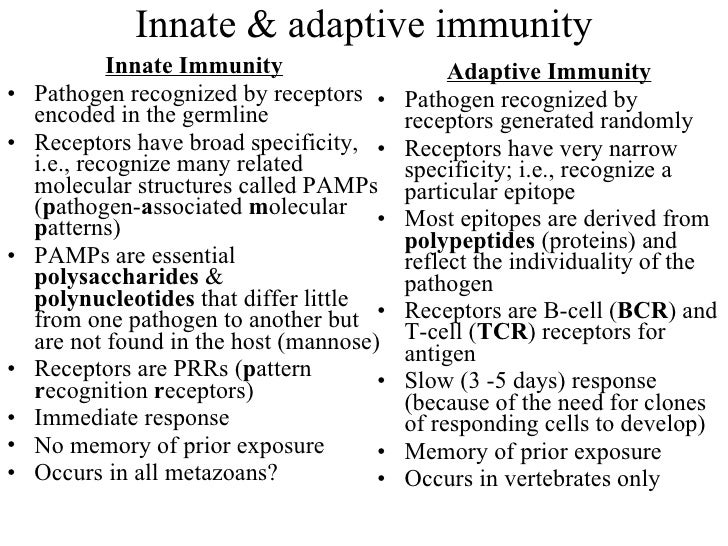 Compare and contrast innate and adaptive immunity essay