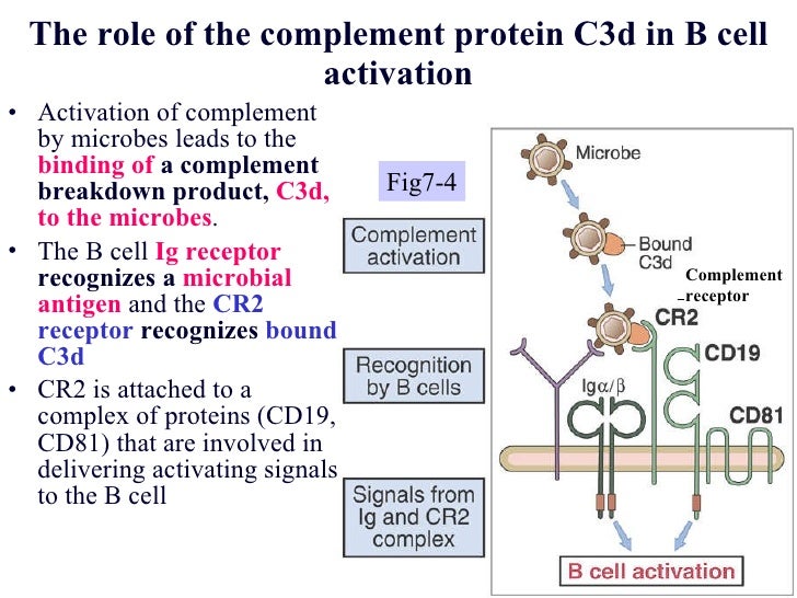 Pharm immuno9-11 portal