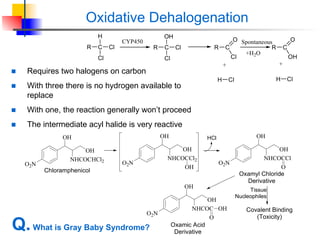 O Nh O2n Cl PHARM4515-5__Drug_Metabolism_ biotransformation reactions.ppt