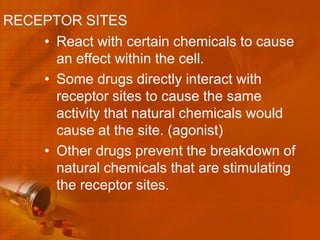 RECEPTOR SITES
    • React with certain chemicals to cause
      an effect within the cell.
    • Some drugs directly interact with
      receptor sites to cause the same
      activity that natural chemicals would
      cause at the site. (agonist)
    • Other drugs prevent the breakdown of
      natural chemicals that are stimulating
      the receptor sites.
 