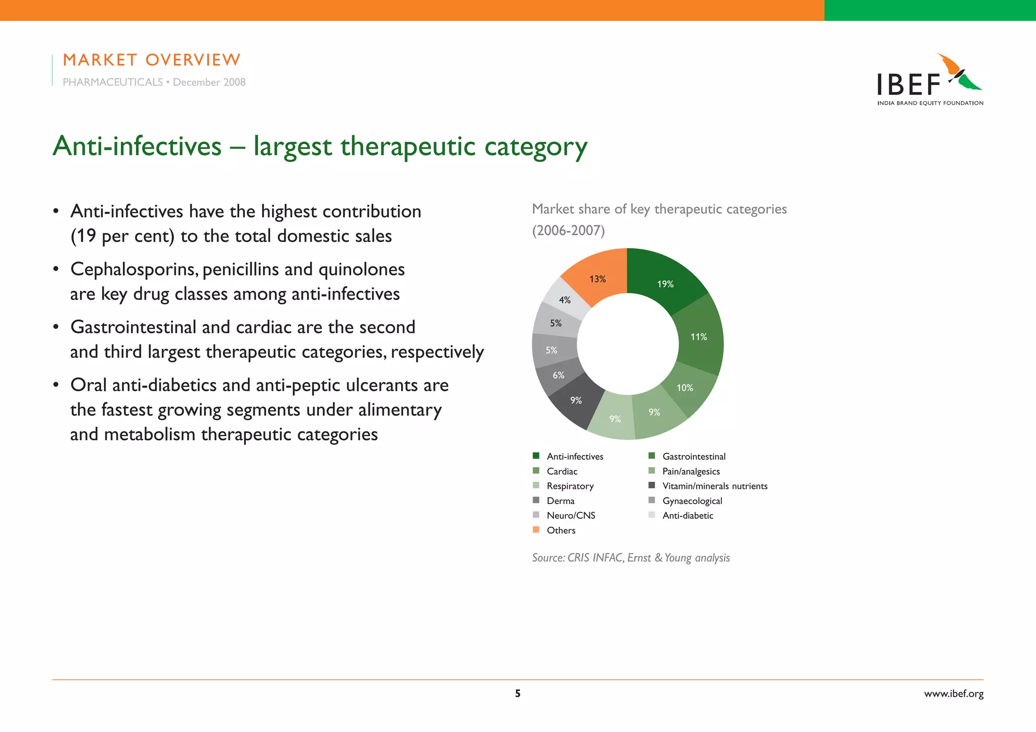 Indian Pharma Industry Presentation 010709