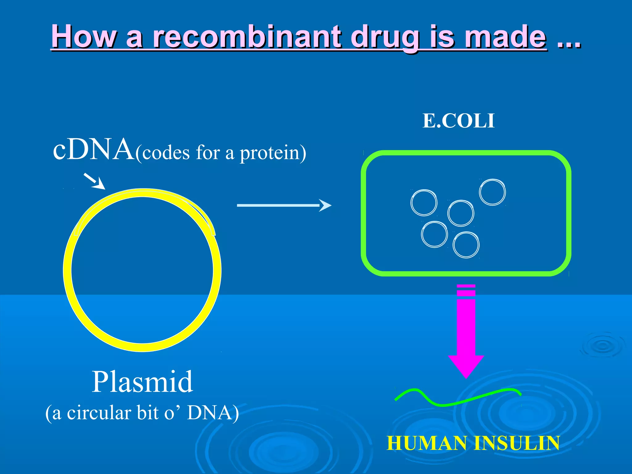 How a recombinant drug is madeHow a recombinant drug is made ......
Plasmid
(a circular bit o’ DNA)
cDNA(codes for a protein)
E.COLI
HUMAN INSULIN
 