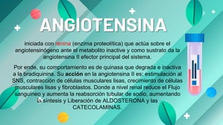 ANGIOTENSINA
iniciada con renina (enzima proteolítica) que actúa sobre el
angiotensinógeno ante el metabolito inactive y c...