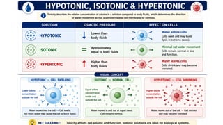 Comprehensive Guide to Proof Spirit and Pharmaceutical Compounding Techniques