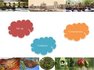 Mix up
Confusion
Contamination
 