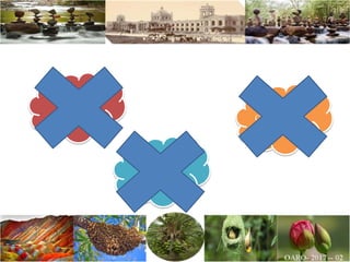 Mix up
Confusion
Contamination
 