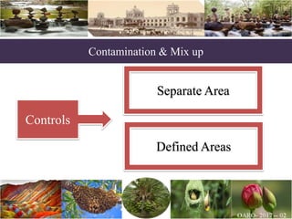 Contamination & Mix up
Controls
Separate Area
Defined Areas
 