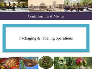 Contamination & Mix up
Packaging & labeling operations
 