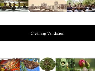 Cleaning Validation
 