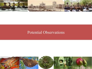 Potential Observations
 