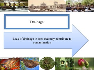 Lack of drainage in area that may contribute to
contamination
Drainage
 