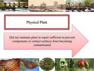 Did not maintain plant in repair sufficient to prevent
components or contact surfaces from becoming
contaminated
Physical Plant
 