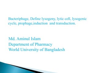 Bacteriphage, Define lysogeny, lytic cell, lysogenic
cycle, prophage,induction and transduction.
Md. Aminul Islam
Department of Pharmacy
World University of Bangladesh
 