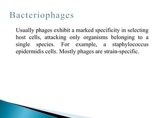 Usually phages exhibit a marked specificity in selecting
host cells, attacking only organisms belonging to a
single species. For example, a staphylococcus
epidermidis cells. Mostly phages are strain-specific.
 