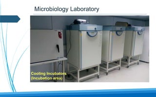 Microbiology Laboratory
Cooling Incubators
(Incubation area)
 