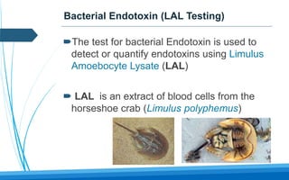 Bacterial Endotoxin (LAL Testing)
The test for bacterial Endotoxin is used to
detect or quantify endotoxins using Limulus
Amoebocyte Lysate (LAL)
 LAL is an extract of blood cells from the
horseshoe crab (Limulus polyphemus)
 