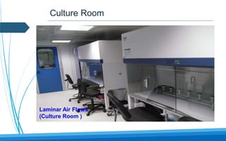 Pharmaceutical microbiology | PPTX