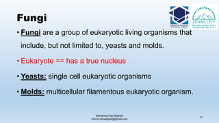 Fungi
• Fungi are a group of eukaryotic living organisms that
include, but not limited to, yeasts and molds.
• Eukaryote == has a true nucleus
• Yeasts: single cell eukaryotic organisms
• Molds: multicellular filamentous eukaryotic organism.
Mohamed Abo-Elgheit
mhmd.aboelgheit@gmail.com
11
 