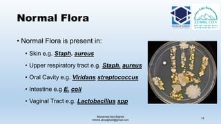 Normal Flora
• Normal Flora is present in:
• Skin e.g. Staph. aureus
• Upper respiratory tract e.g. Staph. aureus
• Oral Cavity e.g. Viridans streptococcus
• Intestine e.g E. coli
• Vaginal Tract e.g. Lactobacillus spp
Mohamed Abo-Elgheit
mhmd.aboelgheit@gmail.com
13
 