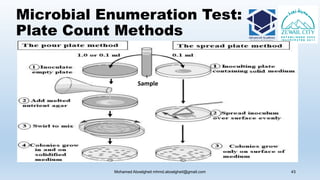 Microbial Enumeration Test:
Plate Count Methods
Mohamed Aboelgheit mhmd.aboelgheit@gmail.com 43
Sample
 