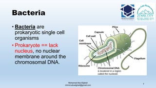 Bacteria
• Bacteria are
prokaryotic single cell
organisms
• Prokaryote == lack
nucleus, no nuclear
membrane around the
chromosomal DNA.
Mohamed Abo-Elgheit
mhmd.aboelgheit@gmail.com
7
 