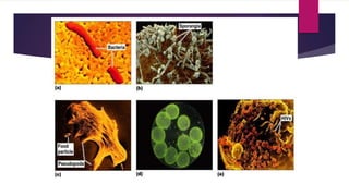 Pharmaceutical microbiology (unit 1) Slide 6
