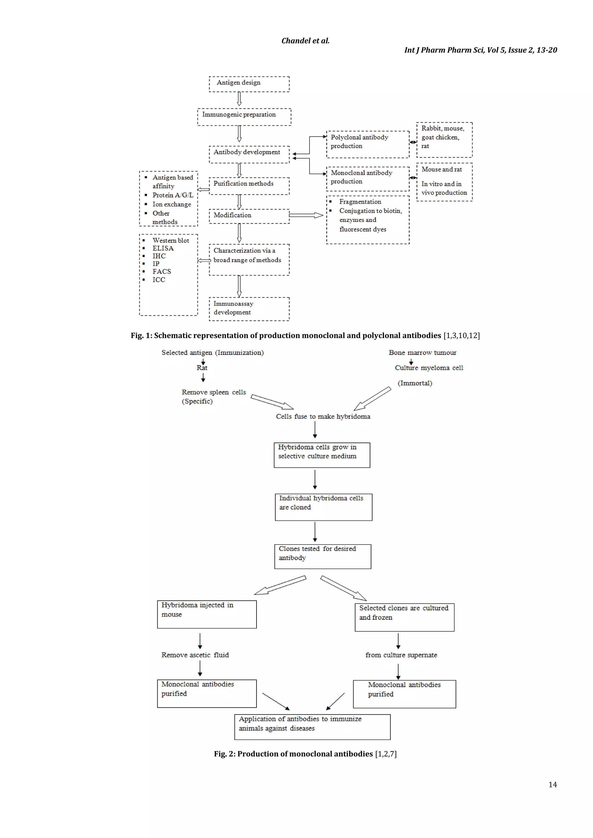 Pharmaceutical monoclonal antibodies production - guidelines to cell ...