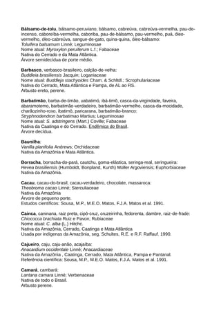 Bálsamo-de-tolu, bálsamo-peruviano, bálsamo, cabreúva, cabreúva-vermelha, pau-de-
incenso, caboreíba-vermelha, caboriba, pau-de-bálsamo, pau-vermelho, puá, óleo-
vermelho, óleo-cabreúva, sangue-de-gato, quina-quina, óleo-bálsamo:
Toluifera balsamum Linné; Leguminosae
Nome atual: Myroxylon peruiferum L.f.; Fabaceae
Nativa do Cerrado e da Mata Atlântica.
Árvore semidecídua de porte médio.
Barbasco, verbasco-brasileiro, calção-de-velha:
Buddleia brasiliensis Jacquin; Loganiaceae
Nome atual: Buddleja stachyoides Cham. & Schltdl.; Scrophulariaceae
Nativa do Cerrado, Mata Atlântica e Pampa, de AL ao RS.
Arbusto ereto, perene.
Barbatimão, barba-de-timão, uabatimó, ibá-timõ, casca-da-virgindade, faveira,
abaramotemo, barbatimão-verdadeiro, barbatimão-vermelho, casca-da-mocidade,
charãozinho-roxo, ibatimô, paricarana, barbatimão-branco:
Stryphnodendron barbatimao Martius; Leguminosae
Nome atual: S. adstringens (Mart.) Coville; Fabaceae
Nativa da Caatinga e do Cerrado. Endêmica do Brasil.
Árvore decídua.
Baunilha:
Vanilla planifolia Andrews; Orchidaceae
Nativa da Amazônia e Mata Atlântica.
Borracha, borracha-do-pará, cautchu, goma-elástica, seringa-real, seringueira:
Hevea brasiliensis (Humboldt, Bonpland, Kunth) Müller Argoviensis; Euphorbiaceae
Nativa da Amazônia.
Cacau, cacau-do-brasil, cacau-verdadeiro, chocolate, massaroca:
Theobroma cacao Linné; Sterculiaceae
Nativa da Amazônia
Árvore de pequeno porte.
Estudos científicos: Sousa, M.P., M.E.O. Matos, F.J.A. Matos et al. 1991.
Cainca, caninana, raiz preta, cipó-cruz, cruzeirinha, fedorenta, dambre, raiz-de-frade:
Chiococca brachiata Ruiz e Pavon; Rubiaceae
Nome atual: C. alba (L.) Hitchc.
Nativa da Amazônia, Cerrado, Caatinga e Mata Atlântica
Usada por indígenas da Amazônia, seg. Schultes, R.E. e R.F. Raffauf. 1990.
Cajueiro, caju, caju-anão, acajaíba:
Anacardium occidentale Linné; Anacardiaceae
Nativa da Amazônia , Caatinga, Cerrado, Mata Atlântica, Pampa e Pantanal.
Referência científica: Sousa, M.P., M.E.O. Matos, F.J.A. Matos et al. 1991.
Camará, cambará:
Lantana camara Linné; Verbenaceae
Nativa de todo o Brasil.
Arbusto perene.
 