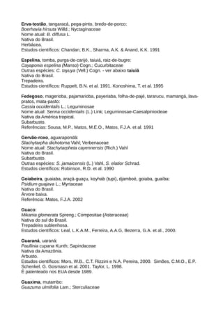 Erva-tostão, tangaracá, pega-pinto, bredo-de-porco:
Boerhavia hirsuta Willd.; Nyctaginaceae
Nome atual: B. diffusa L.
Nativa do Brasil.
Herbácea.
Estudos científicos: Chandan, B.K., Sharma, A.K. & Anand, K.K. 1991
Espelina, tomba, purga-de-carijó, taiuiá, raiz-de-bugre:
Cayaponia espelina (Manso) Cogn.; Cucurbitaceae
Outras espécies: C. tayuya (Vell.) Cogn. - ver abaixo taiuiá
Nativa do Brasil.
Trepadeira.
Estudos científicos: Ruppelt, B.N. et al. 1991. Konoshima, T. et al. 1995
Fedegoso, magerioba, pajamarioba, payeriaba, folha-de-pajé, tararucu, mamangá, lava-
pratos, mata-pasto:
Cassia occidentalis L.; Leguminosae
Nome atual: Senna occidentalis (L.) Link; Leguminosae-Caesalpinioideae
Nativa da América tropical.
Subarbusto.
Referências: Sousa, M.P., Matos, M.E.O., Matos, F.J.A. et al. 1991
Gervão-roxo, aguarapondá:
Stachytarpha dichotoma Vahl; Verbenaceae
Nome atual: Stachytarpheta cayennensis (Rich.) Vahl
Nativa do Brasil.
Subarbusto.
Outras espécies: S. jamaicensis (L.) Vahl, S. elatior Schrad.
Estudos científicos: Robinson, R.D. et al. 1990
Goiabeira, guaiaba, araçá-guaçu, koyhab (tupi), djamboé, goiaba, guaíba:
Psidium guajava L.; Myrtaceae
Nativa do Brasil.
Árvore baixa.
Referência: Matos, F.J.A. 2002
Guaco:
Mikania glomerata Spreng.; Compositae (Asteraceae)
Nativa do sul do Brasil.
Trepadeira sublenhosa.
Estudos científicos: Leal, L.K.A.M., Ferreira, A.A.G, Bezerra, G.A. et al., 2000.
Guaraná, uaraná:
Paullinia cupana Kunth; Sapindaceae
Nativa da Amazônia.
Arbusto.
Estudos científicos: Mors, W.B., C.T. Rizzini e N.A. Pereira, 2000. Simões, C.M.O., E.P.
Schenkel, G. Gosmasn et al. 2001. Taylor, L. 1998.
É patenteado nos EUA desde 1989.
Guaxima, mutambo:
Guazuma ulmifolia Lam.; Sterculiaceae
 