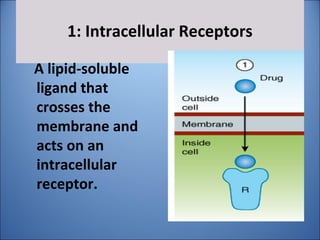 1: Intracellular Receptors
A lipid-soluble
ligand that
crosses the
membrane and
acts on an
intracellular
receptor.
 