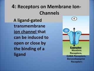 4: Receptors on Membrane Ion-
Channels
A ligand-gated
transmembrane
ion channel that
can be induced to
open or close by
the binding of a
ligand
ExamplesExamples::
Nicotinic
Receptors,
GABA Receptors,
Benzodiazepine
Receptors
 