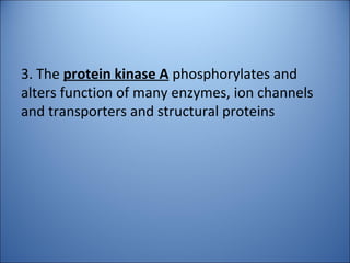 3. The protein kinase A phosphorylates and
alters function of many enzymes, ion channels
and transporters and structural proteins
 