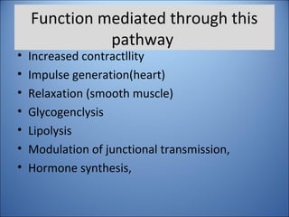 Function mediated through this
pathway
• Increased contractllity
• Impulse generation(heart)
• Relaxation (smooth muscle)
• Glycogenclysis
• Lipolysis
• Modulation of junctional transmission,
• Hormone synthesis,
 