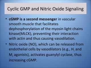 Cyclic GMP and Nitric Oxide Signaling
• cGMP is a second messenger in vascular
smooth muscle that facilitates
dephosphorylation of the myosin light chains
kinase(MLCK), preventing their interaction
with actin and thus causing vasodilation.
• Nitric oxide (NO), which can be released from
endothelial cells by vasodilators (e.g., H1 and
M3 agonists), activates guanylyl cyclase, thus
increasing cGMP.
 