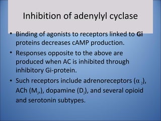 Inhibition of adenylyl cyclase
• Binding of agonists to receptors linked to Gi
proteins decreases cAMP production.
• Responses opposite to the above are
produced when AC is inhibited through
inhibitory Gi-protein.
• Such receptors include adrenoreceptors (α 2),
ACh (M2,), dopamine (D2), and several opioid
and serotonin subtypes.
 