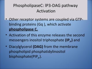 PhospholipaseC: lP3-DAG pathway
Activation
• Other receptor systems are coupled via GTP-
binding proteins (Gq ), which activate
phospholipase C.
• Activation of this enzyme releases the second
messengers inositol triphosphate (IP3,) and
• Diacylglycerol (DAG) from the membrane
phospholipid phosphatidylinositol
bisphosphate(PIP2,).
 