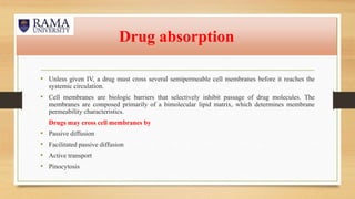 Drug absorption
• Unless given IV, a drug must cross several semipermeable cell membranes before it reaches the
systemic circulation.
• Cell membranes are biologic barriers that selectively inhibit passage of drug molecules. The
membranes are composed primarily of a bimolecular lipid matrix, which determines membrane
permeability characteristics.
Drugs may cross cell membranes by
• Passive diffusion
• Facilitated passive diffusion
• Active transport
• Pinocytosis
 
