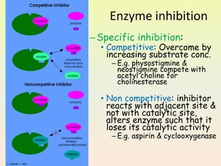 Enzyme inhibition
–Specific inhibition:
• Competitive: Overcome by
increasing substrate conc.
– E.g. physostigmine &
neostigmine compete with
acetyl choline for
cholinesterase
• Non competitive: inhibitor
reacts with adjacent site &
not with catalytic site,
alters enzyme such that it
loses its catalytic activity
– E.g. aspirin & cyclooxygenase
 
