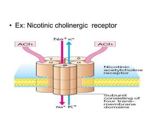 • Ex: Nicotinic cholinergic receptor
 