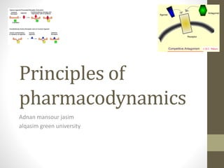 Principles of
pharmacodynamics
Adnan mansour jasim
alqasim green university
 