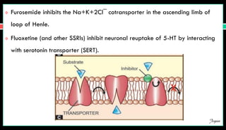  Furosemide inhibits the Na+K+2Cl¯ cotransporter in the ascending limb of
loop of Henle.
 Fluoxetine (and other SSRIs) inhibit neuronal reuptake of 5-HT by interacting
with serotonin transporter (SERT).
Jegan
 