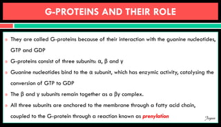 G-PROTEINS AND THEIR ROLE
 They are called G-proteins because of their interaction with the guanine nucleotides,
GTP and GDP
 G-proteins consist of three subunits: α, β and γ
 Guanine nucleotides bind to the α subunit, which has enzymic activity, catalysing the
conversion of GTP to GDP
 The β and γ subunits remain together as a βγ complex.
 All three subunits are anchored to the membrane through a fatty acid chain,
coupled to the G-protein through a reaction known as prenylation Jegan
 